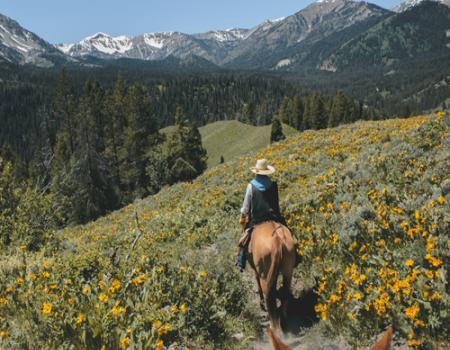 Montana Horse Riding - Mountain Home Montana