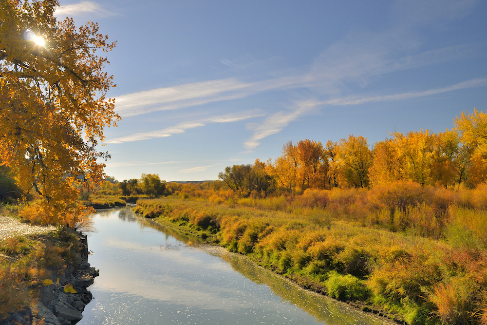 montana in the fall, fall foliage