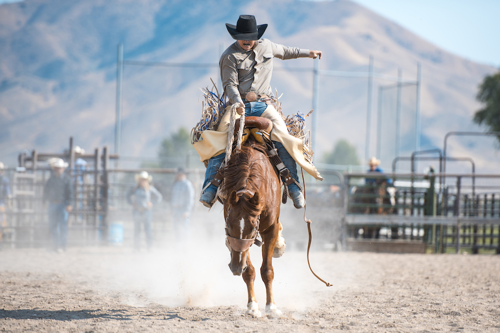 man on a horse at the radio